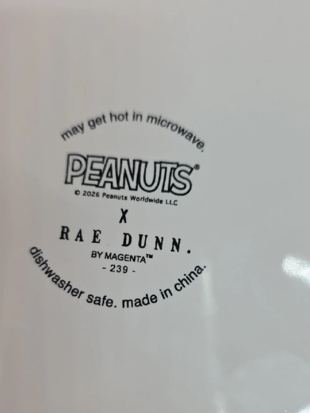 Rae Dunn x Peanuts Pet Food Or Water Bowl